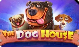 21bit – The Dog House